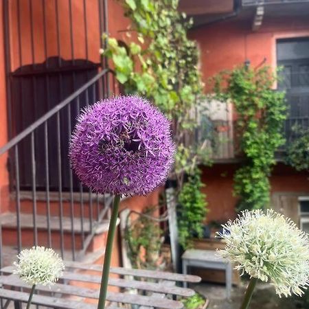 Come A Casa Каселето сопра Тичино Екстериор снимка